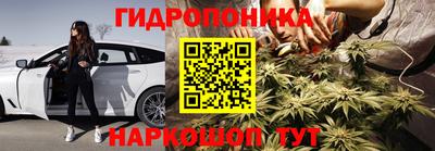 шишки Волжск