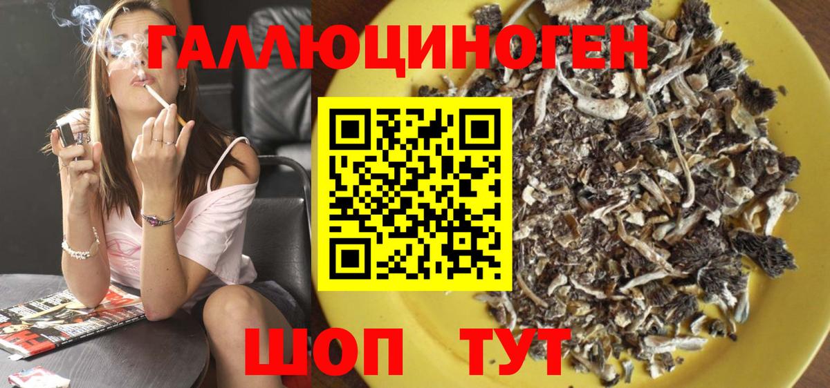Псилоцибиновые грибы Cubensis Чехов